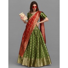 LEHENGA CHOLI - FILC0123C